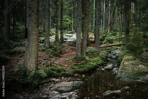 Kleiner Arbersee Bayerischer Wald