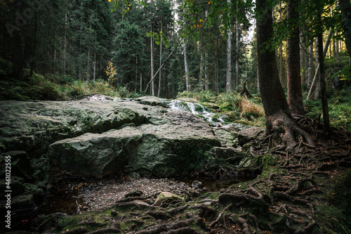 Kleiner Arbersee Bayerischer Wald