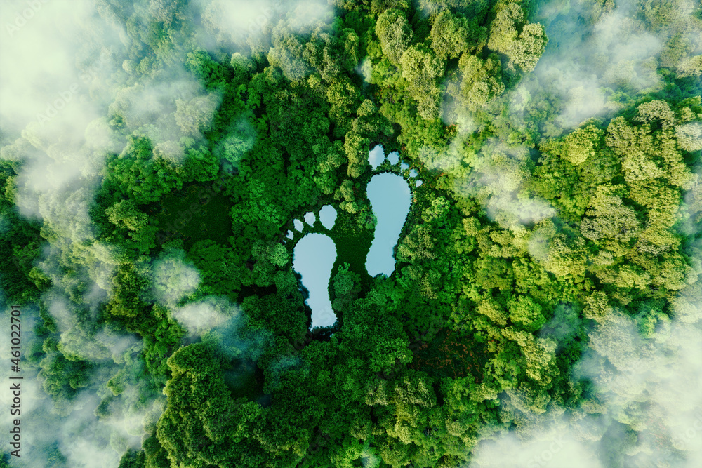 A lake in the shape of human footprints in the middle of a lush forest as a metaphor for the impact of human activity on the landscape and nature in general. 3d rendering. - obrazy, fototapety, plakaty 