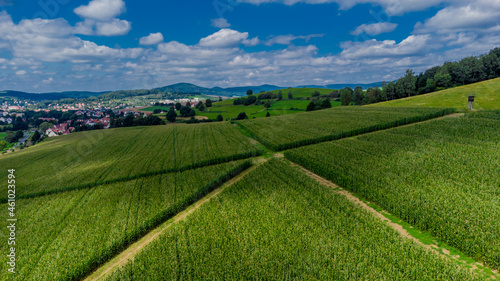 Spätsommerliche Getreideernte bei Schmalkalden - Thüringen - Deutschland