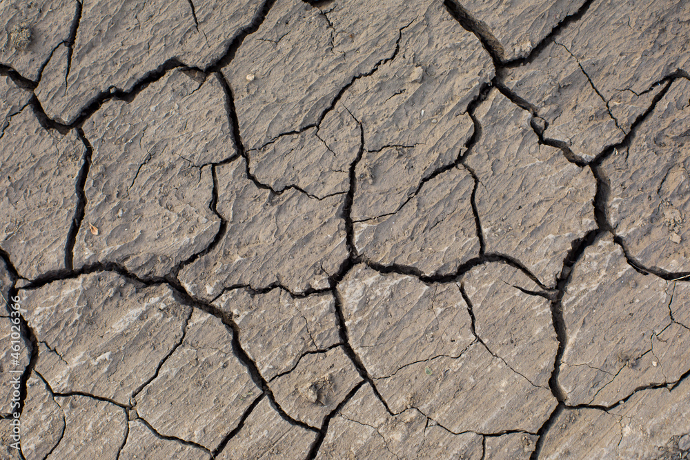 cracked background, cracked texture, drought cracked background, cracked texture, drought