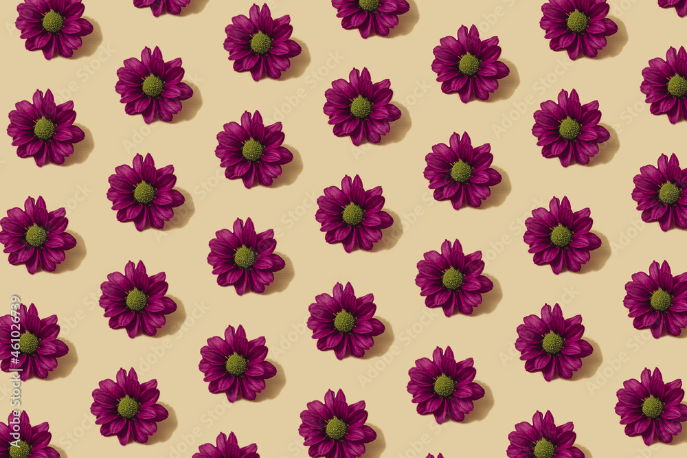 Autumn pattern in yellow and purple colour. Autumn daisy flower minimal background. Creative fall layout.  Flat lay with copy space.
