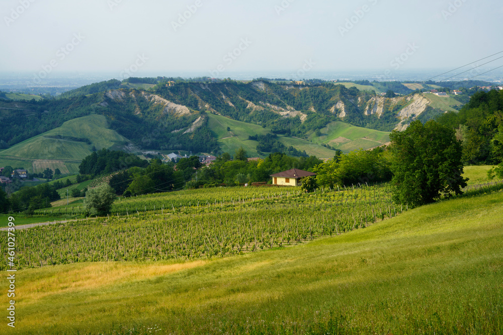 Rural landscape near Castell Arquato at springtime