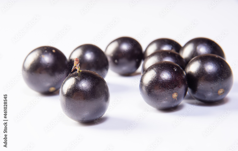 Jabuticaba, Freshly harvested Jabuticabas arranged over white background, selective focus. Jabuticaba, Freshly harvested Jabuticabas arranged over white background, selective focus.