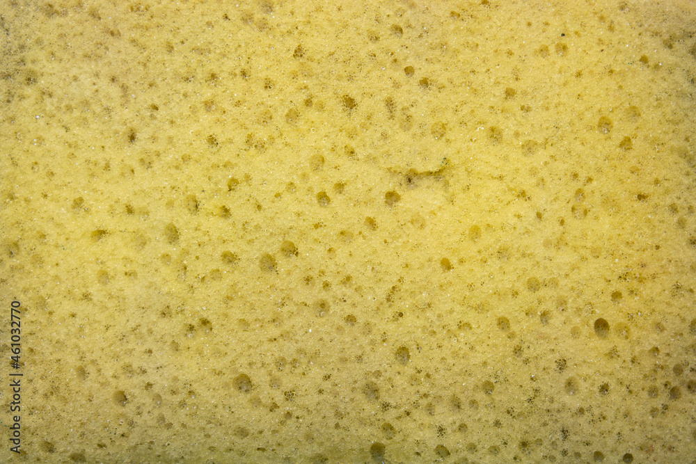 close-up on dirty yellow sponge, Sponge texture background
