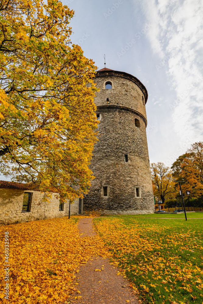 old tower in autumn