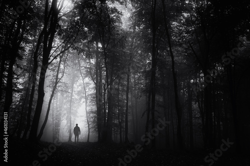 Fototapeta Naklejka Na Ścianę i Meble -  man lost in forest at night, scary dark landscape
