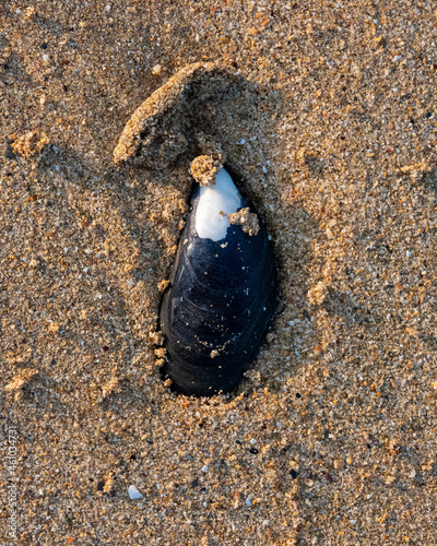earth in the sand