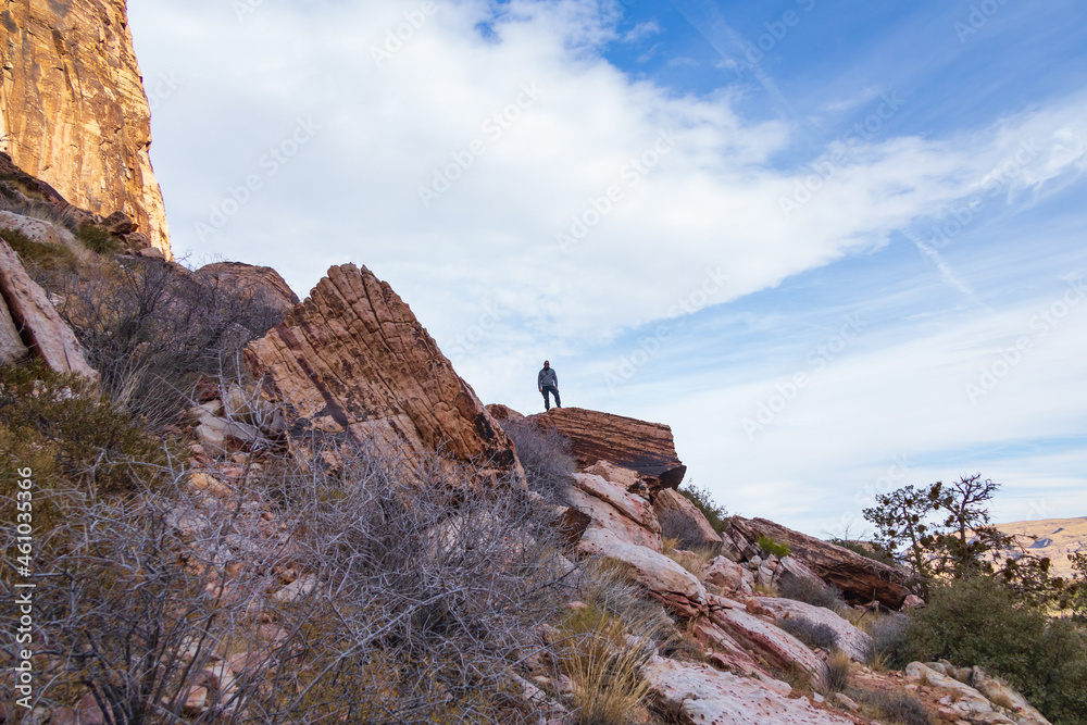 Man standing on large boulder overlooking Pine Creek Canyon, Nevada, USA
