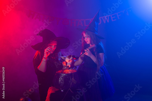 Funny child girl and woman in witches costumes for Halloween with dog.