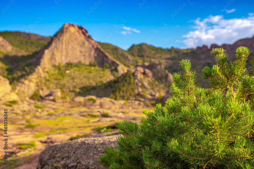 Beautiful nature of rocky mountains. Unusual landscape of nature. Trees among the rocks against the sky with clouds.