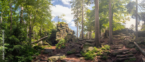 rock in the forest - natural monument Nine Rocks, Zdarske vrchy in Vysocina, Czech Republic