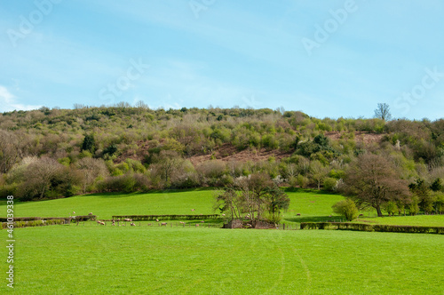 Springtime landscape in the UK countryside.