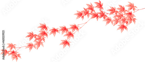 水彩で描いた紅葉の枝