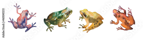 Photo many watercolor frog on a white background work path isolate