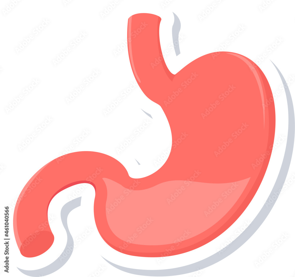 Stomach Stomach