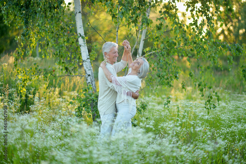 Fototapeta premium Portrait of beautiful senior couple dancing in summer park