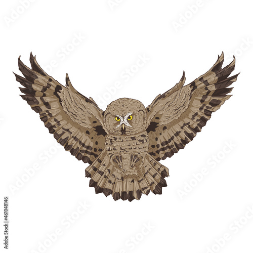 Owl Vector Cartoon Illustration on White Background