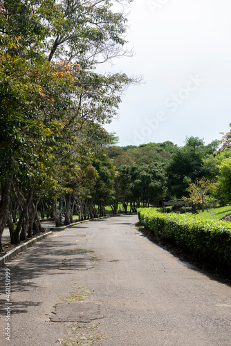 Paths with green corridors in La Sabana park. San Jose, Costa Rica.  © camaralucida1