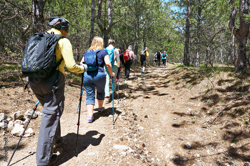 Group of tourists on trekking