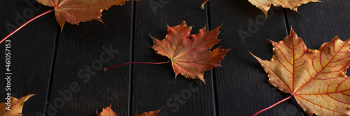 Autumn leaves on rustic wooden table banner. Autumn concept.