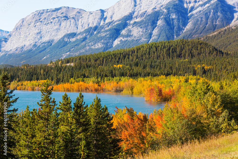 Fototapeta premium Autumn in Canada