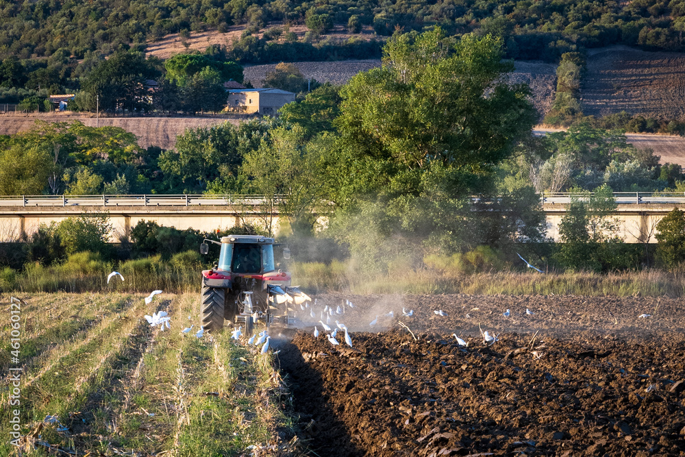 Fototapeta premium Landarbeit
