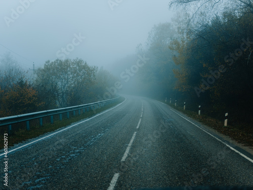 road fog autumn nature travel trip landscape