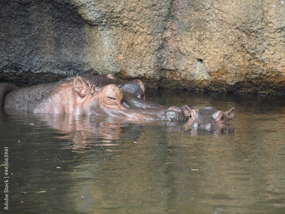 Fototapeta premium OLYMPUS DIGITAL CAMERA