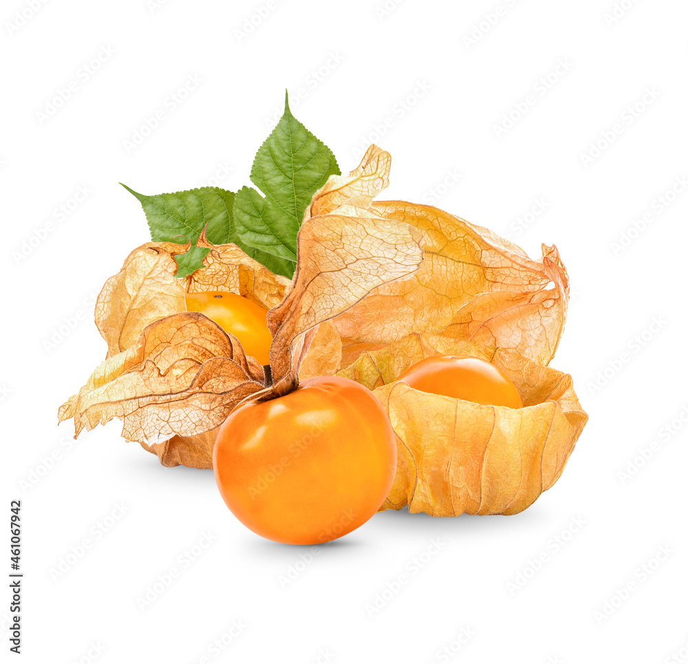 Cape gooseberry, physalis with leaves isolated on white background Cape gooseberry, physalis with leaves isolated on white background