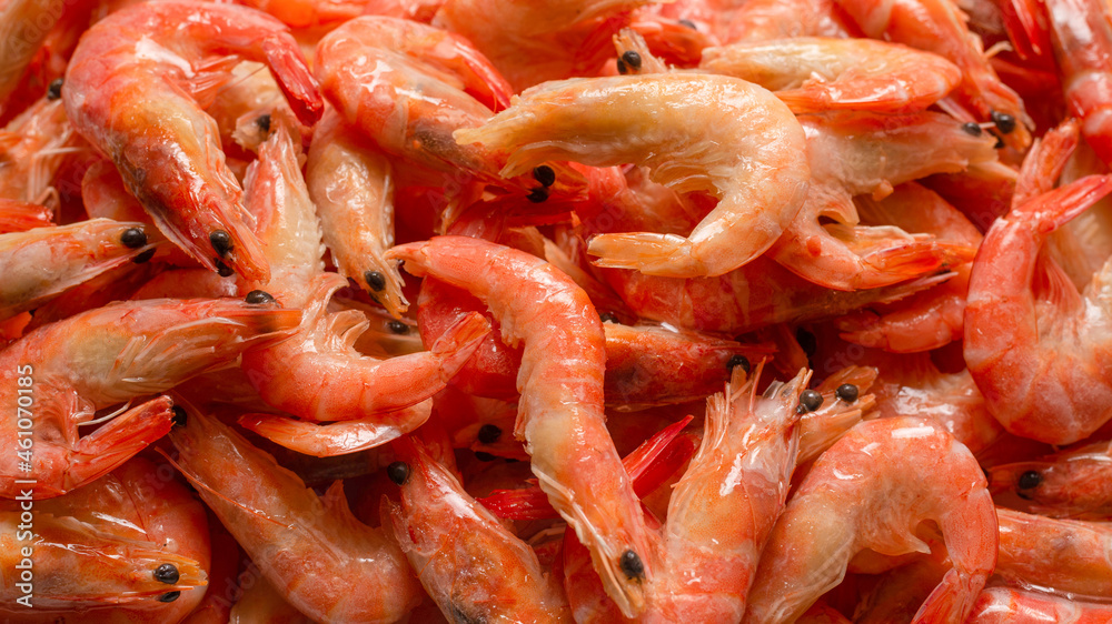 Shrimps background texture. A lot of shrimps. Cooked shrimps. Shrimps background texture. A lot of shrimps. Cooked shrimps.