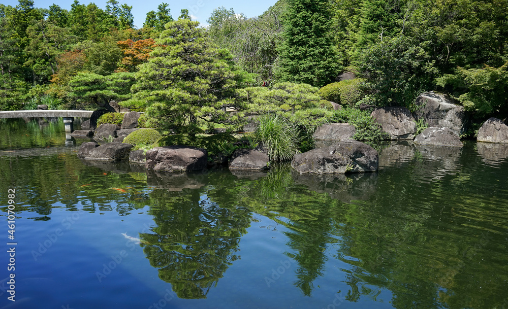 Green garden with bonsai trees and fish pond Green garden with bonsai trees and fish pond