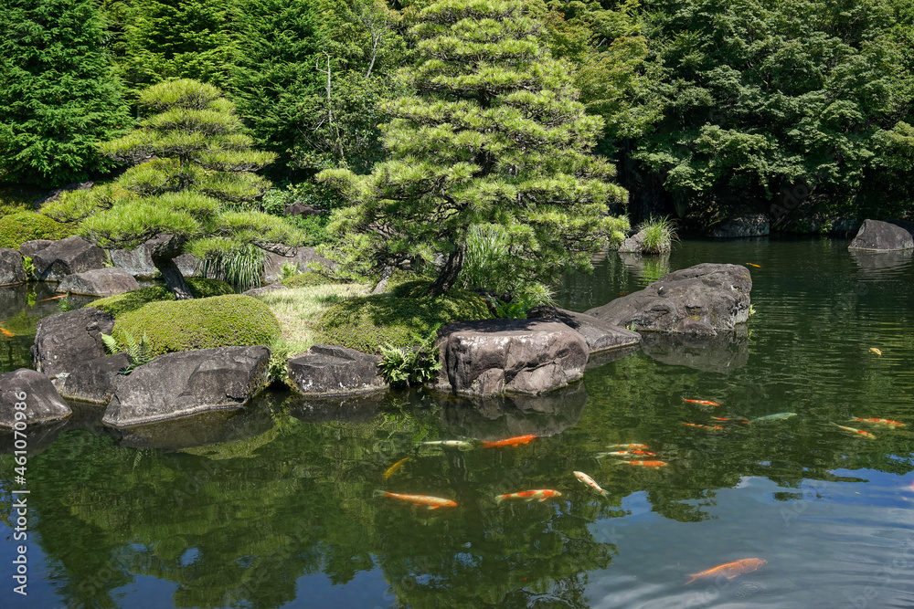 Green garden with bonsai trees and fish pond