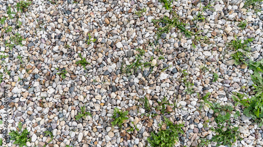 White granite stones, small pebbles through which the green grass grows inbetween. Natural texture with stones, earth and grass