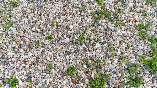 White granite stones, small pebbles through which the green grass grows inbetween. Natural texture with stones, earth and grass