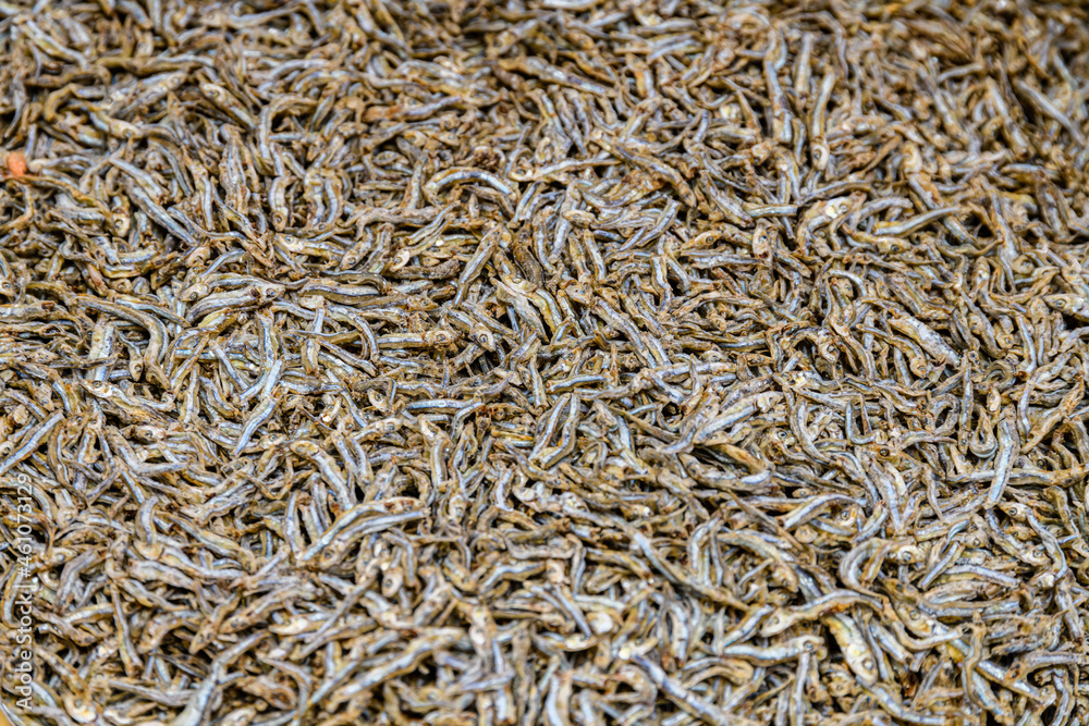Texture of the dried capelin fish. Seafood background Texture of the dried capelin fish. Seafood background