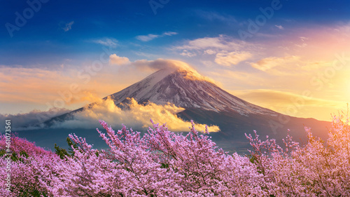 Fuji mountain and cherry blossoms in spring, Japan. photo