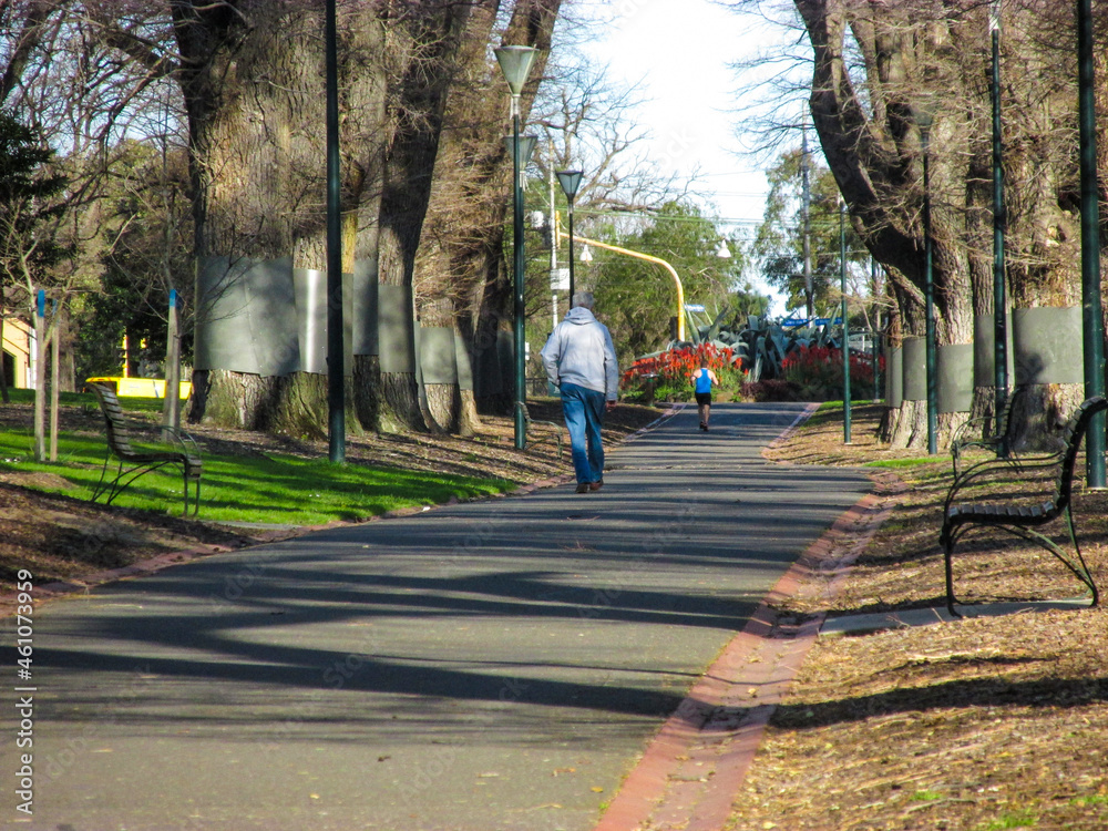 Passerby walks down the footpath of Fitzroy Gardens. This Victorian era gardens add Melbourne's claim to being the garden city of Australia. Its notable feature is the English Elms along the footpath.