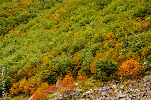 autumn in the mountains © RYYYYYYYY