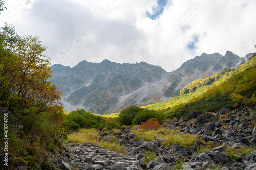 landscape in the summer