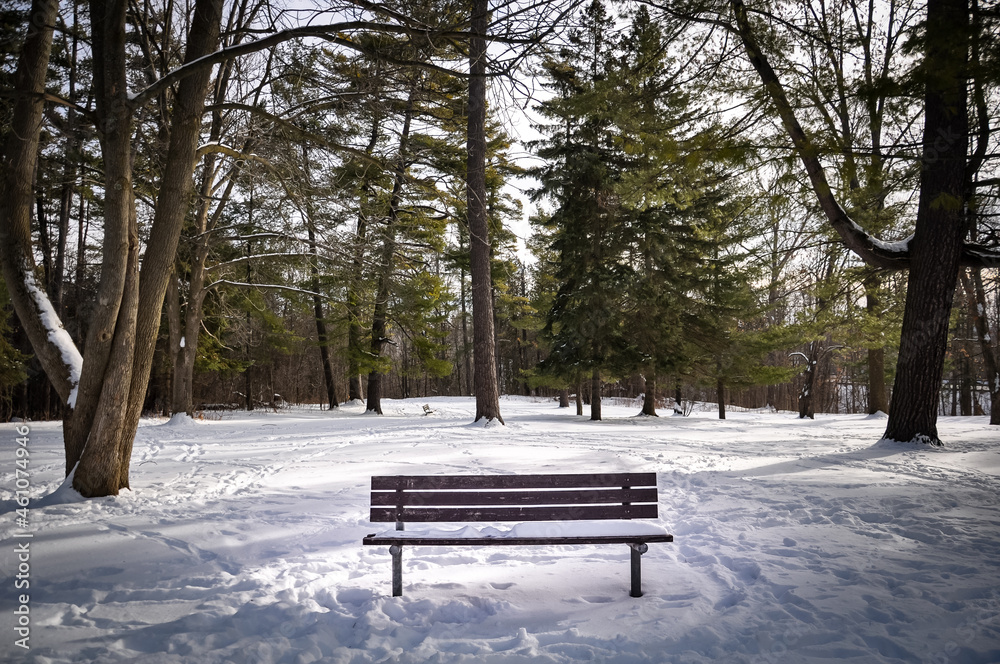 Bench in the park in winter