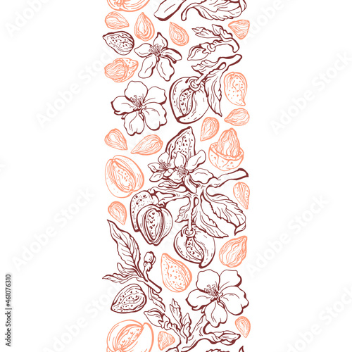 Almond border. Vector seamless pattern. Hand drawn