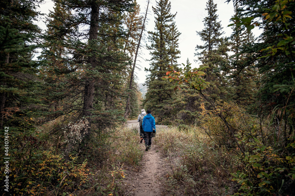 Group of traveler man walking in deep pine forest on autumn at national park Group of traveler man walking in deep pine forest on autumn at national park