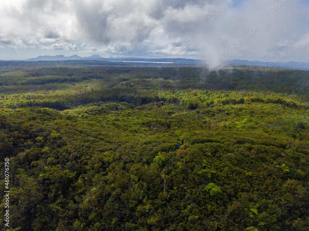 Aerial view of the forest on top of Mount Cocotte (Cocotte Mountain) located near Plaine Champagne, Mauritius