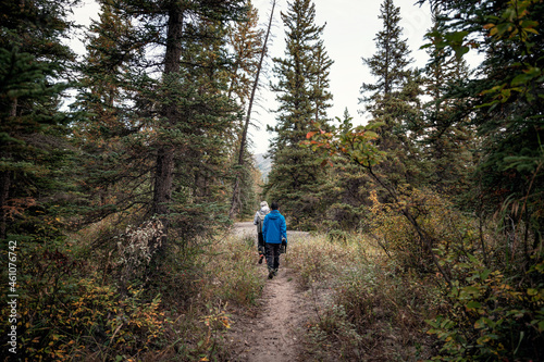 Group of traveler man walking in deep pine forest on autumn at national park