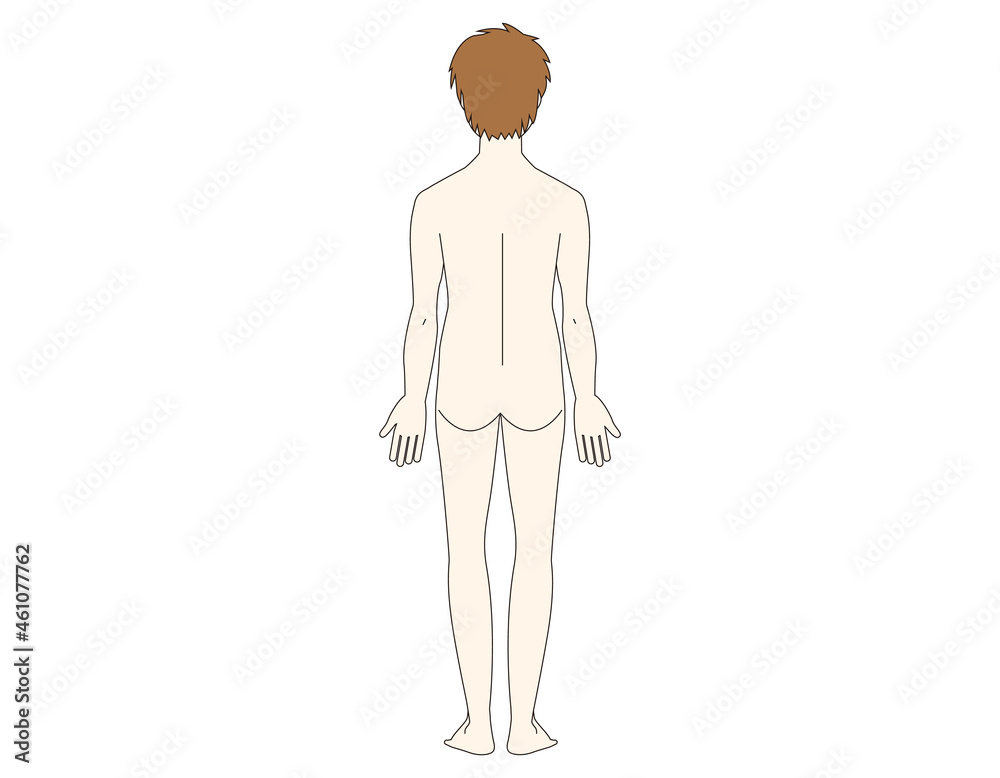 Full body illustration of a man. Beauty. Vector illustration. Full body illustration of a man. Beauty. Vector illustration.