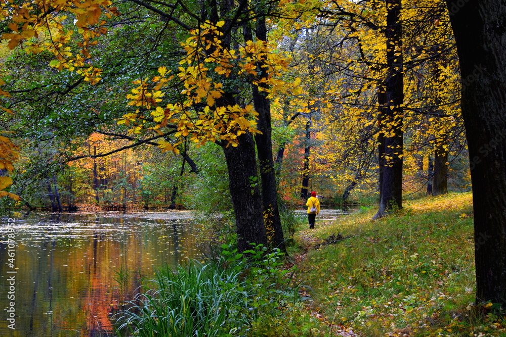 Naklejka premium autumn trees reflected in water