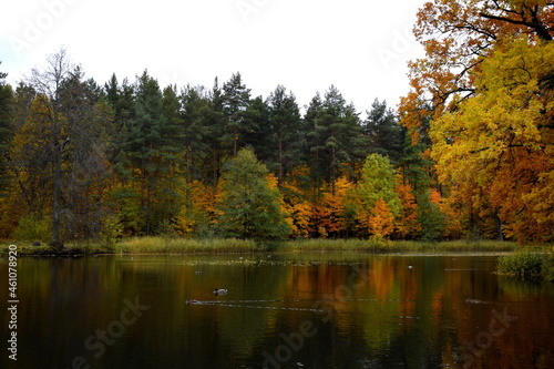 autumn in the park