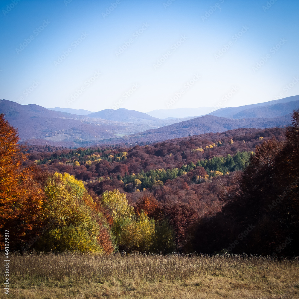 Autumn colors of trees in the Bieszczady Mountains.