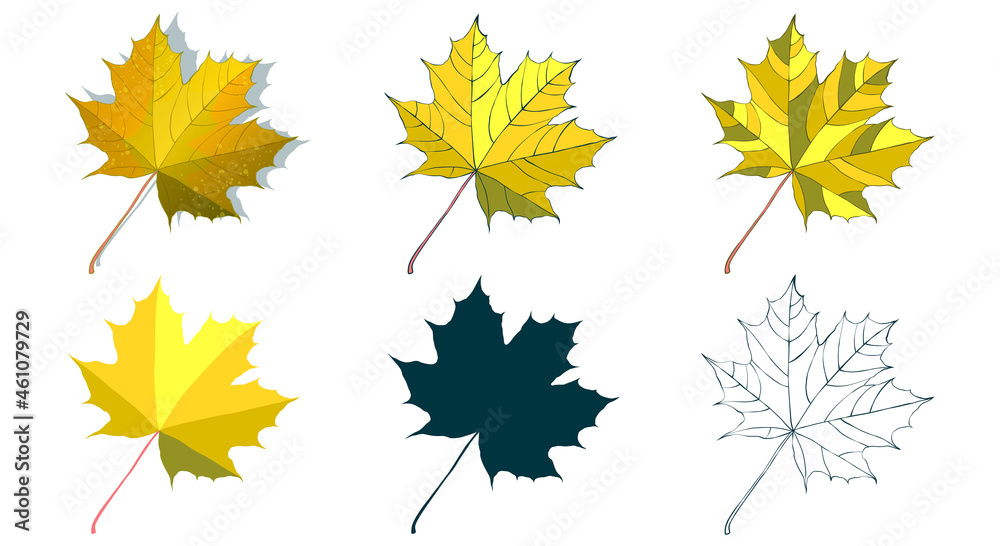 Hand-drawn gold maple autumn leaf collection isolated on white background. Cartoon flat-style vector illustrations. Hand-drawn gold maple autumn leaf collection isolated on white background. Cartoon flat-style vector illustrations.